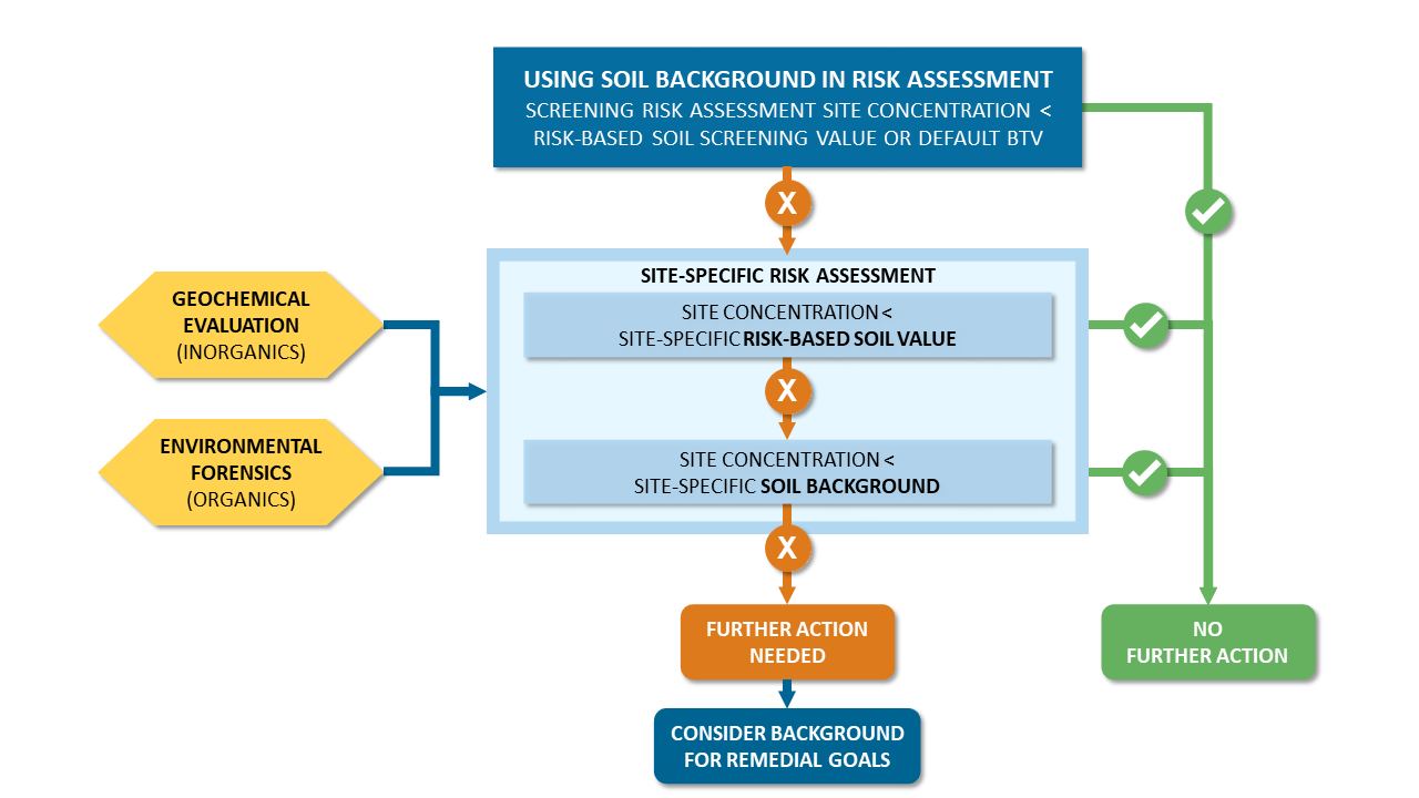 Large Flowchart 3